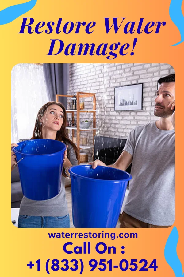water restoration Platinum Water Damage & Associates Freeville